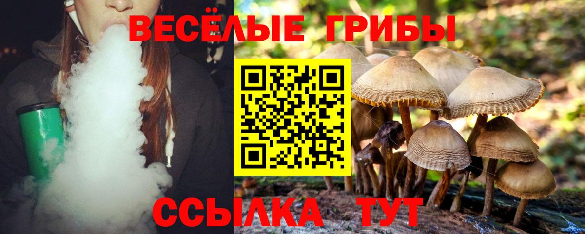 Карпинск  Галлюциногенные грибы GOLDEN TEACHER  где купить наркоту  Галлюциногенные грибы прущие грибы  Вход с VPN 