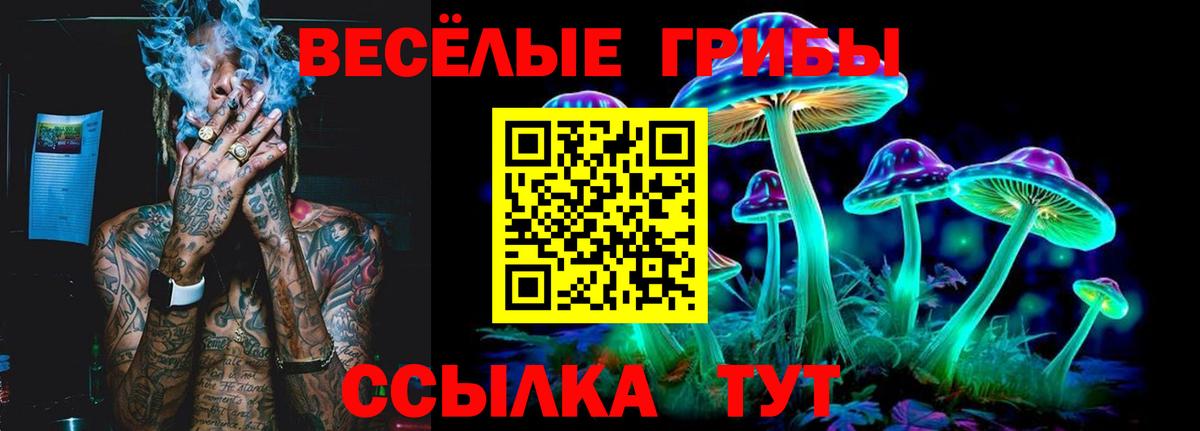 Галлюциногенные грибы Cubensis Карпинск